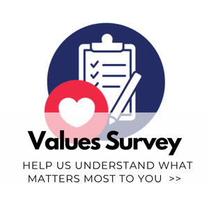 values survey 300